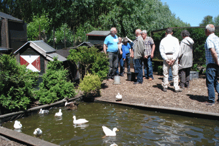 op hok bezoek bij Ko Versteeg!